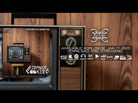 Strange Cookies: Program Interrupted