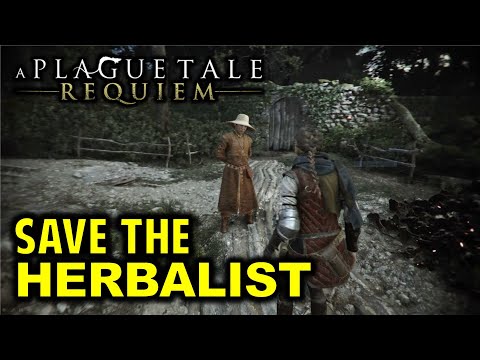 How to Save the Herbalist | Chapter 3 A BURDEN OF BLOOD Walkthrough | A Plague Tale Requiem