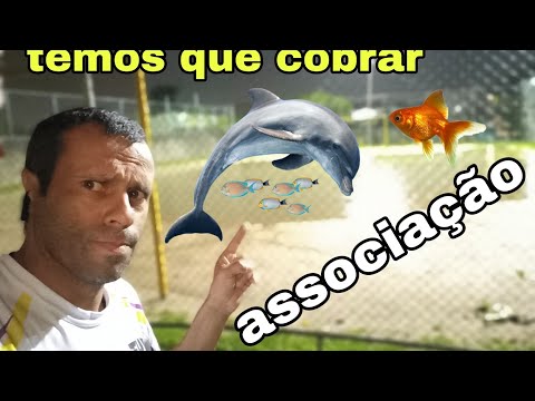 Temos que cobrar associação dos Bairro o campo  de areia  virou  um lago  😱🐟🐡🐠🐬 @Jovelino07