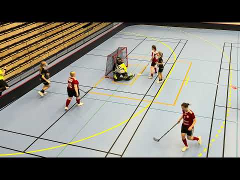 Damer Div.3 Skåne Uppflyttnings serien Åstorp/Kvidinge IBS - Förslövs IF 7-3