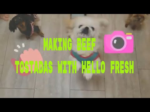 Making Beef Tostadas with Hellofresh