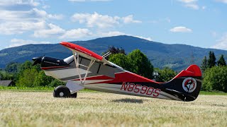 Arrows® Husky - 1800mm Hochdecker powered by MODSTER