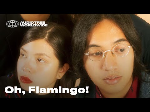 Oh, Flamingo! - Echoes / Psychedelic Sweater | Audiotree Worldwide