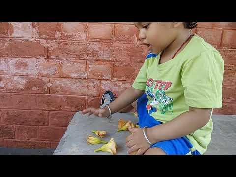 Srinika playing with flowers. Dada Ji on other side.