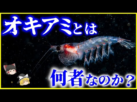 IUCN分類における絶滅の危険性を示す図。