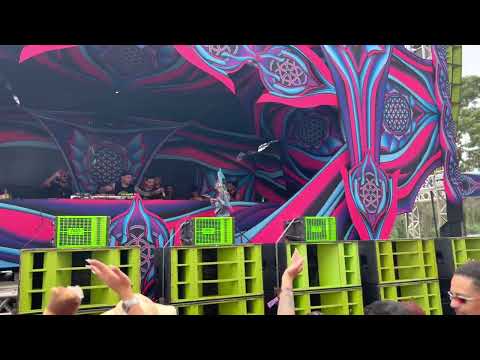 Fabio Fusco - Bugs Nightmare (Flor da Vida 2022)