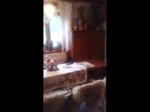 POKOJE GOŚCINNE MIGRENKA