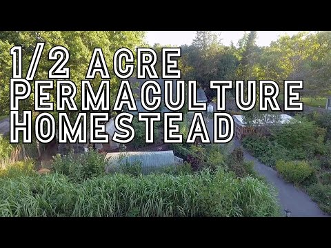 1/2 Acre Permaculture Homestead - View From Above