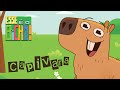 Capivara Esse é O Bicho
