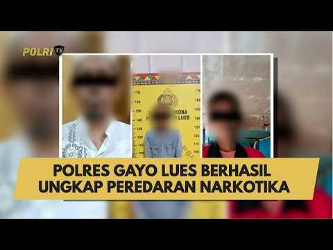 POLRES GAYO LUES BERHASIL UNGKAP PEREDARAN NARKOTIKA