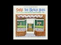 The Beach Boys - Wind Chimes (Vol128 Mix)