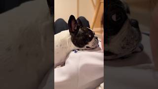 フレブルが必死に考えた結果こうなったみたいです