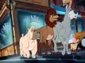 Oliver Company Streets Of Gold European Portuguese