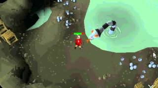 Nargus Killing sea snake final fight royal trouble quest runescape.avi
