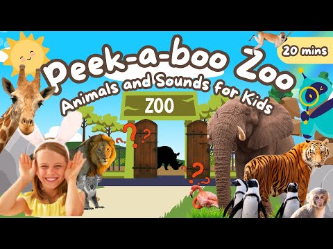 Peek-a-boo Zoo! | 🦒🦏Fun Animal Sounds & Learning for Kids! 🦁🐊