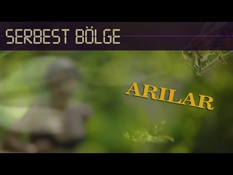 Serbest Bölge - Arılar [Official Video]