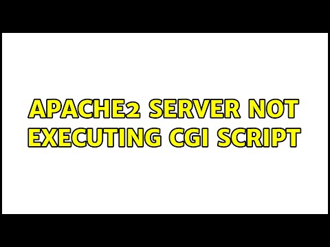 Apache2 Server Not Executing Cgi Script