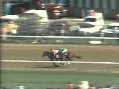Spectacular Bid wins the 1979 Kentucky Derby