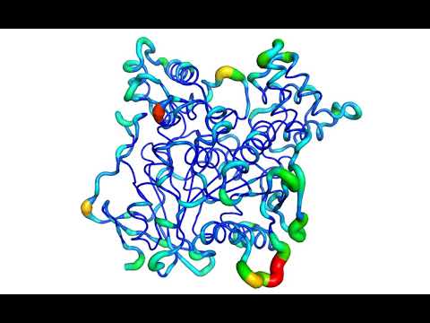2019 10 18 Morph 1fss to 1ea5 repeat