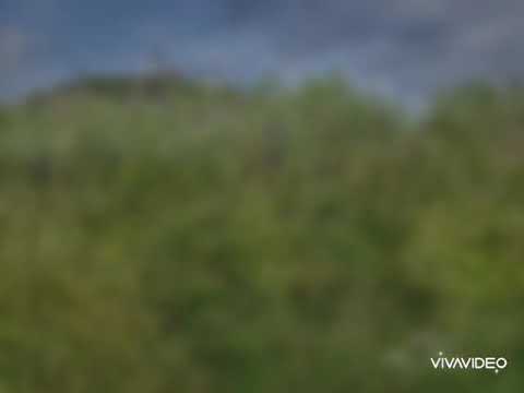 Where the green Glen's of Antrim and the Blue Stack mountains are calling