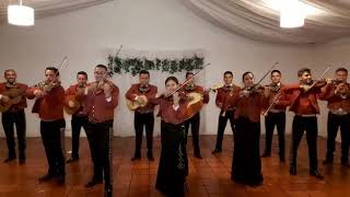 Video de Mariachi Colonial