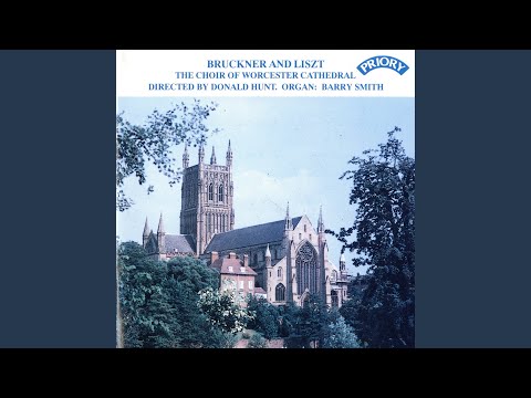 Pange lingua, WAB 33