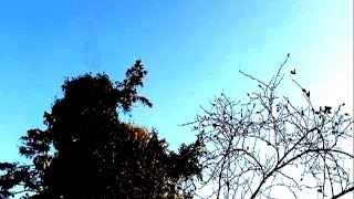 Ave Maria - Red Hurley