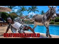 BHATUGUTU SONG MASANJA NAKU OJO PRO MADULU STUDIO