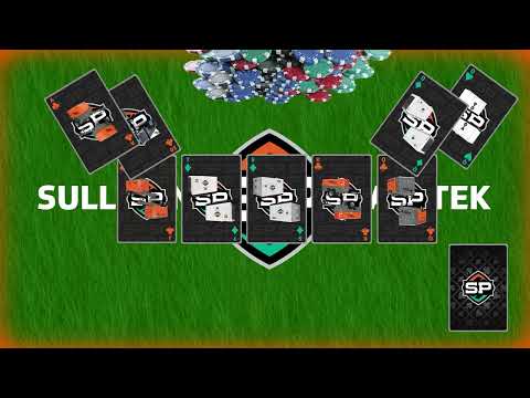 Sullivan-Palatek: Wins Big at Poker