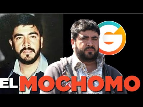 Alfredo Beltrán Leyva  "El Mochomo"