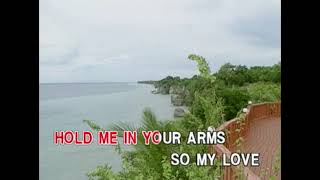 13. Hold Me In Your Arms - Regine Velasquez