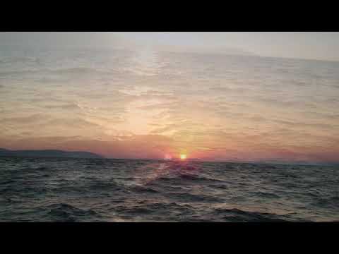 "Zdravo zvijezdo mora" - Koralisti zagrebačke katedrale