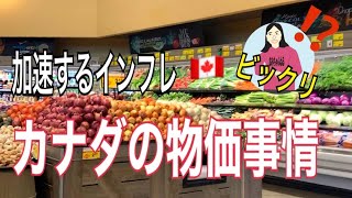 【カナダ物価】加速するインフレ！外食自炊費用の実際/消費者物価指数から見るインフレ率。