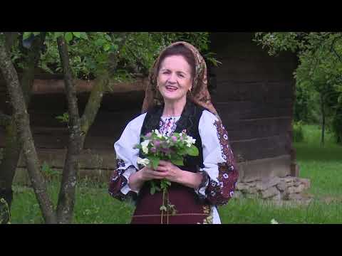 Cornelia Ardelean Archiudean- De-ar ave badiţa minte