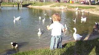 preview picture of video '14 Month Old Little Cooper Wants to Feed the Ducks @ the Park'