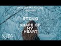 Solèn SHAWEN "Shape Of My Heart" cover 