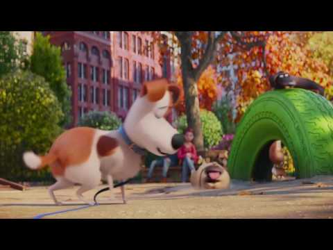 The Akita King Part 11 - Meet Max and Duke