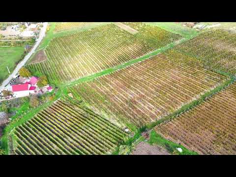 Teren Agricol, Extravilan vanzare, in Iasi, Cotnari