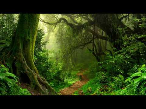 RVB - Jungle Terror Mix #2