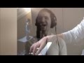 Mi cover de Journey-Dont stop believing