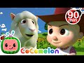 Ba Ba Black Sheep With JJ Animals For Kids Animal Cartoons Funny Cartoons Learn About Animals