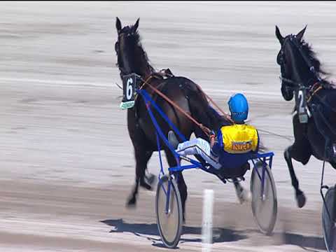 Trotto 23/09/2018 - 1ª corsa