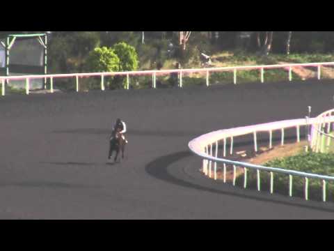 5 31 11 Turbulent Descent