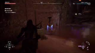 [幽狸生放送]Horizon forbidden  west＃4