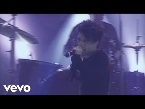 Videoclip de Smalltown Boy (Live au Zénith de Paris) — Indochine