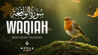 Surah Al Waqiah سورة الواقعة | Find Hope and Comfort Through Sacred Words​ | Al-Taqwa TV