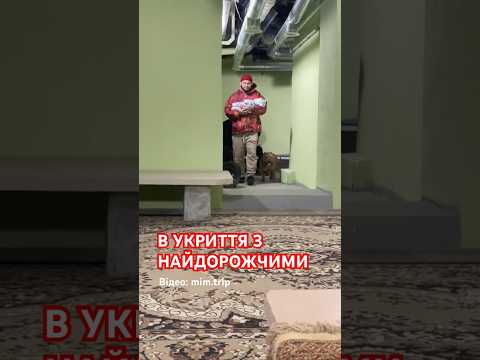 «Перша прогулянка доці»: так підписав відео автор,який заходив в укриття з немовлям,єнотом й собакою