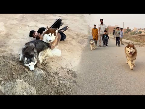 Sabtain Ko Ash Fiona Ny Gira Dya😰