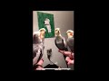 Birds Singing Earth Wind and Fire??