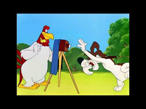 Merrie Melodies 1950 El Gallo Claudio el Ingenuo Leghorn Swoggled (1 de 3)